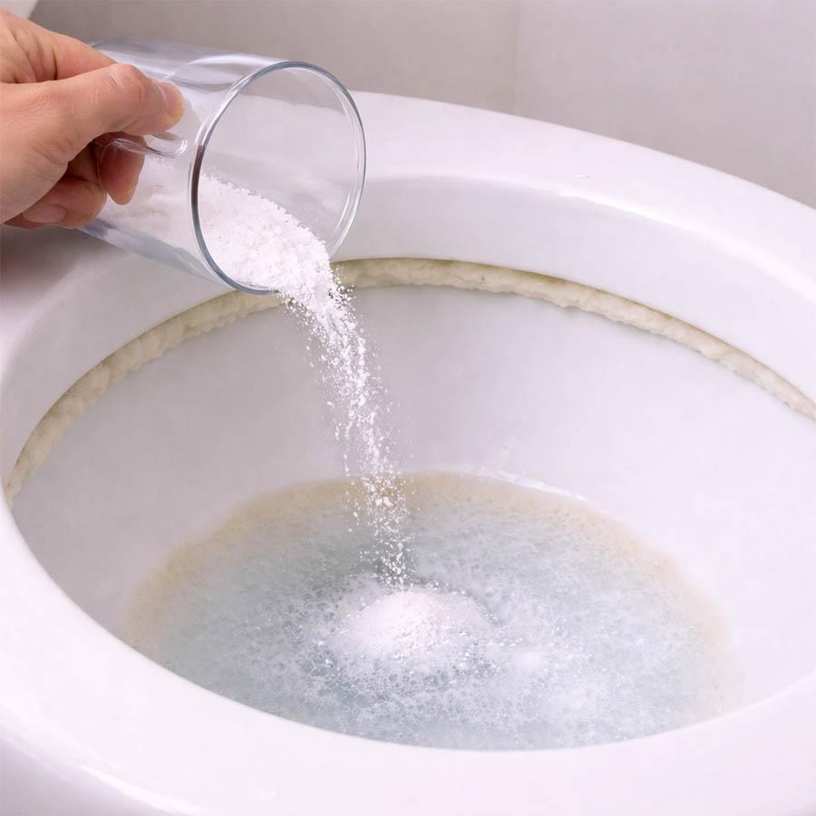 Toilet Cleaning Agent 100 gm (Pack of 2)